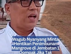 Wagub Nyanyang Minta Hentikan Penimbunan Mangrove di Jembatan 1 Dompak Jika Tak Kantongi Izin
