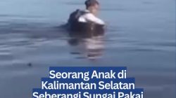 Seorang Anak di Kalimantan Selatan Seberangi Sungai Pakai Baskom Plastik Demi Berangkat Sekolah