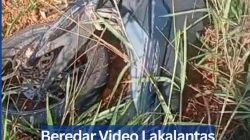 Beredar Video Lakalantas Diduga di Jalan Lintas Barat Bintan.