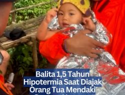 Balita 1,5 Tahun Hipotermia Saat Diajak Orang Tua Mendaki Gunung Ungaran