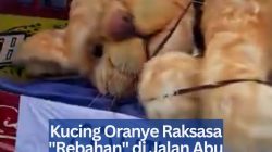 Kucing Oranye Raksasa “Rebahan” di Jalan Abu Bakar Ali Yogyakarta Curi Perhatian