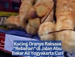 Kucing Oranye Raksasa “Rebahan” di Jalan Abu Bakar Ali Yogyakarta Curi Perhatian