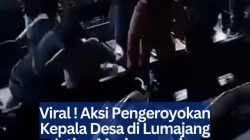 Viral ! Aksi Pengeroyokan Kepala Desa di Lumajang Jatim, Masing-masing Pelaku Menggunakan Sajam