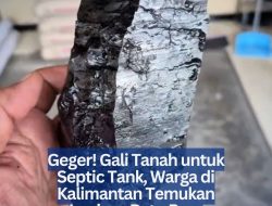 Geger! Gali Tanah untuk Septic Tank, Warga di Kalimantan Temukan Lapisan Batu Bara