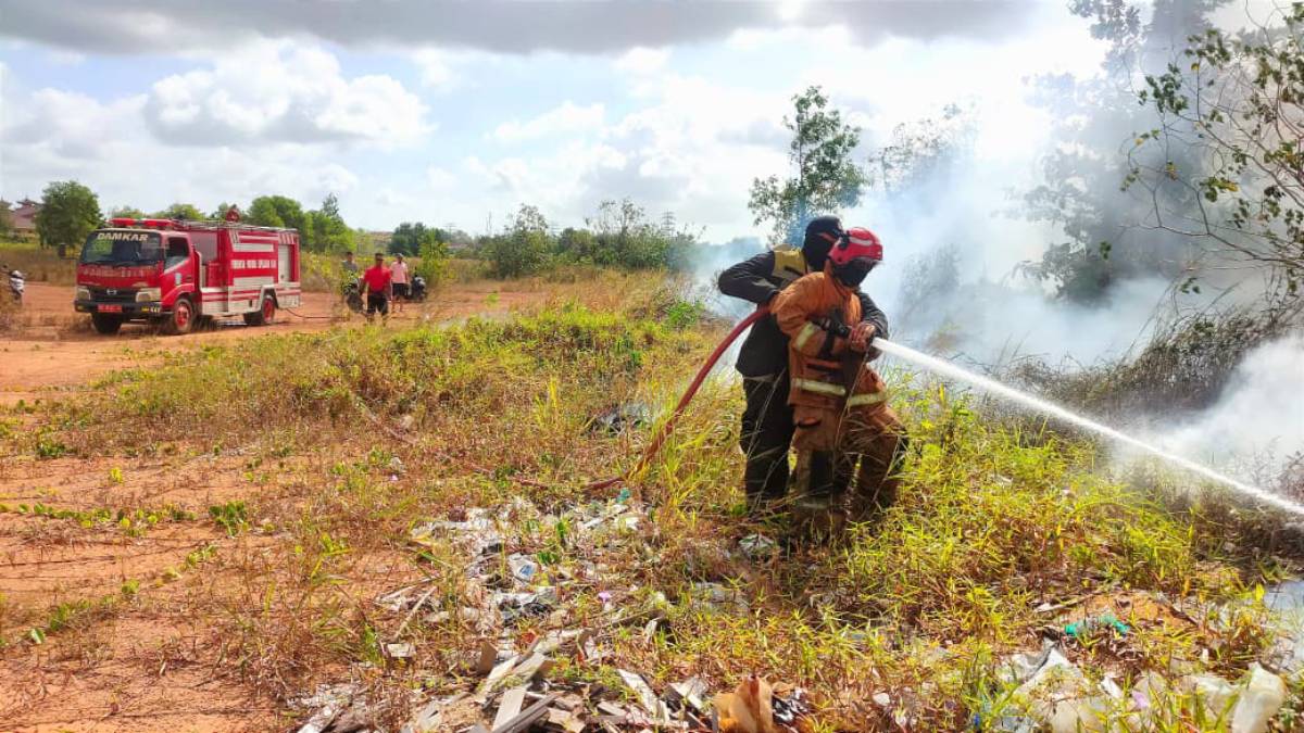Damkar Tanjungpinang Catat Terjadi 138 Karhutla Sejak Januari-Maret 2026.