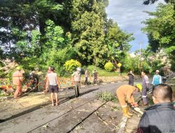 Cuaca Ekstrem Picu Pohon Tumbang di Karimun, Tiang Listrik Patah dan Lalin Sempat Lumpuh