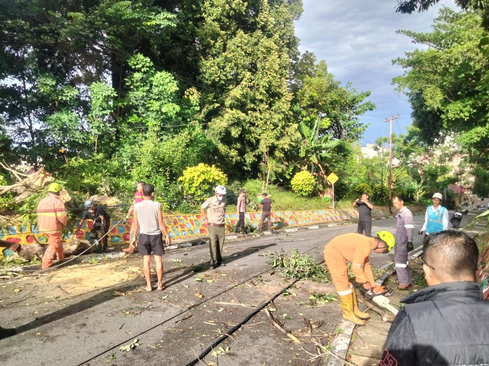 Cuaca Ekstrem Picu Pohon Tumbang di Karimun, Tiang Listrik Patah dan Lalin Sempat Lumpuh.