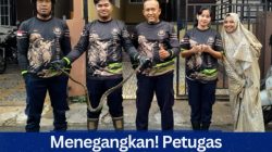 Menegangkan! Petugas Damkar Tanjung Uban Evakuasi Ular Sawah Disamping Kulkas Rumah Warga.