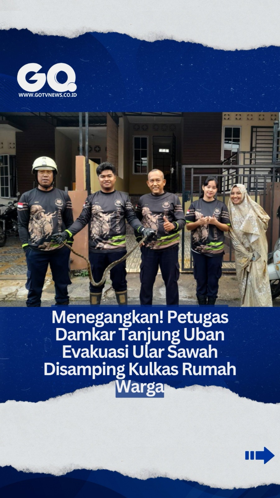 Menegangkan! Petugas Damkar Tanjung Uban Evakuasi Ular Sawah Disamping Kulkas Rumah Warga.