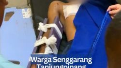 Warga Senggarang Tanjungpinang Diterkam Buaya Saat Cari Gonggong
