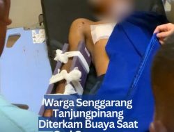 Warga Senggarang Tanjungpinang Diterkam Buaya Saat Cari Gonggong