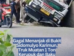 Gagal Menanjak di Bukit Sidomulyo Karimun, Truk Muatan 1 Ton Kerupuk dan Baju Hantam Tembok