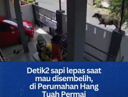Detik-detik menegangkan di Perumahan Hangtuah Permai, Tanjungpinang!
