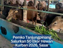 Pemko Tanjungpinang Salurkan 50 Ekor Hewan Kurban 2026, Sasar Warga Kurang Mampu