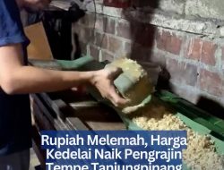 Rupiah Melemah, Harga Kedelai Naik Pengrajin Tempe Tanjungpinang Resah