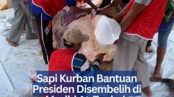 Sapi Kurban Bantuan Presiden Disembelih di Masjid At-Taubah Tanjungpinang, Daging Didistribusikan ke 500 KK