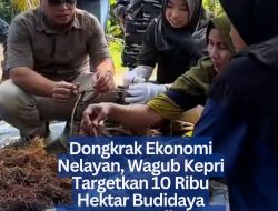 Dongkrak Ekonomi Nelayan, Wagub Kepri Targetkan 10 Ribu Hektar Budidaya Rumput Laut di Lingga
