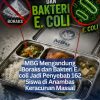 MBG Mengandung Boraks dan Bakteri E. coli Jadi Penyebab 162 Siswa di Anambas Keracunan Massal