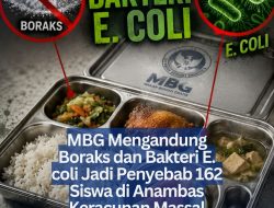 MBG Mengandung Boraks dan Bakteri E. coli Jadi Penyebab 162 Siswa di Anambas Keracunan Massal