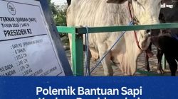 Polemik Bantuan Sapi Kurban Presiden dari APBN