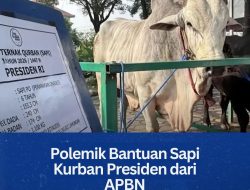Polemik Bantuan Sapi Kurban Presiden dari APBN