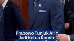 Prabowo Tunjuk AHY Jadi Ketua Komite Kereta Cepat Whoosh, Gantikan Luhut