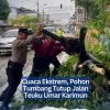 Cuaca Ekstrem, Pohon Tumbang Tutup Jalan Teuku Umar Karimun