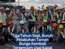 Tiga Tahun Sepi, Buruh Pelabuhan Taman Bunga Kembali Tersenyum Usai Kapal Kembali Sandar