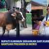 Bupati Karimun Serahkan Sapi Kurban Bantuan Presiden di Moro