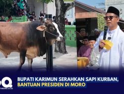 Bupati Karimun Serahkan Sapi Kurban Bantuan Presiden di Moro