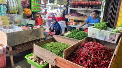 Harga Cabai dan Tomat di Pasar Bintan Center Tanjungpinang Naik