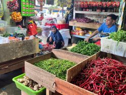 Harga Cabai dan Tomat di Pasar Bintan Center Tanjungpinang Naik