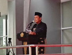 Gubernur Ansar Dorong FTZ Karimun-Bintan Menyeluruh seperti Batam