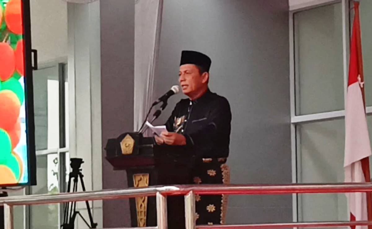 Gubernur Ansar Dorong FTZ Karimun-Bintan Menyeluruh seperti Batam.