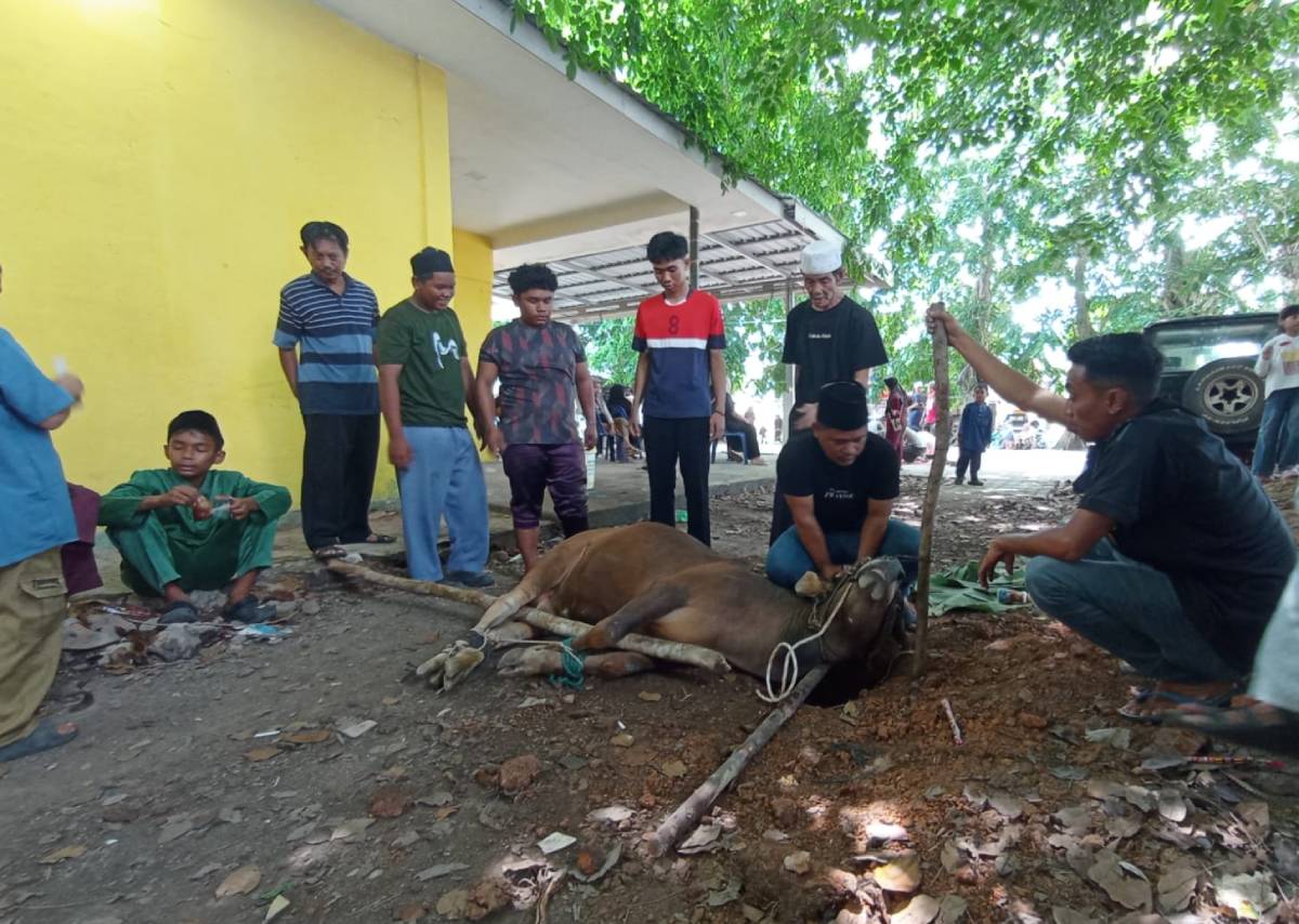 Pemko Tanjungpinang Akan Hadirkan Sistem Tabungan Kurban Bagi ASN dan Masyarakat di 2027.