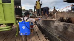 Jelang Idul Adha, Barantin Perketat Pengawasan Pemasukan Hewan Kurban di Wilayah Kepri
