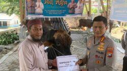 Jelang Iduladha 1447 Hijriah, Polresta Tanjungpinang Salurkan 21 Hewan Kurban ke Masyarakat