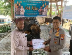 Jelang Iduladha 1447 Hijriah, Polresta Tanjungpinang Salurkan 21 Hewan Kurban ke Masyarakat