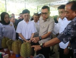Barantin Komitmen Tingkatkan Daya Saing Durian Sulawesi Tengah di Pasar Ekspor