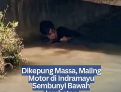 Dikepung Massa, Maling Motor di Indramayu Sembunyi Bawah Jembatan