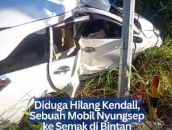Diduga Hilang Kendali, Sebuah Mobil Nyungsep ke Semak di Bintan