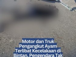 Motor dan Truk Pengangkut Ayam Terlibat Kecelakaan di Bintan, Pengendara Tak Sadarkan Diri di Lokasi
