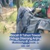 Bocah 9 Tahun Tewas Diduga Diserang Anjing Pemburu di Jasinga Bogor