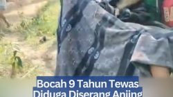 Bocah 9 Tahun Tewas Diduga Diserang Anjing Pemburu di Jasinga Bogor