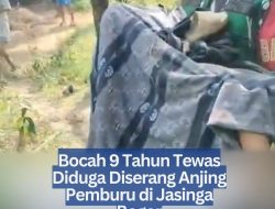 Bocah 9 Tahun Tewas Diduga Diserang Anjing Pemburu di Jasinga Bogor