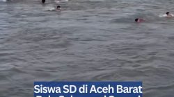 Siswa SD di Aceh Barat Rela Seberangi Sungai Demi Sekolah