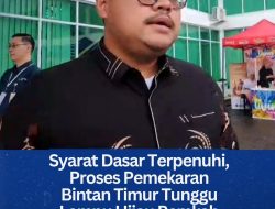 Syarat Dasar Terpenuhi, Proses Pemekaran Bintan Timur Tunggu Lampu Hijau Pemkab