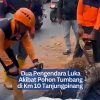 Dua Pengendara Luka Akibat Pohon Tumbang di Km 10 Tanjungpinang