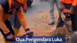 Dua Pengendara Luka Akibat Pohon Tumbang di Km 10 Tanjungpinang
