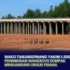 Wako Tanjungpinang Yakini 1.500 Persen Penimbunan Mangrove Dompak Mengandung Unsur Pidana